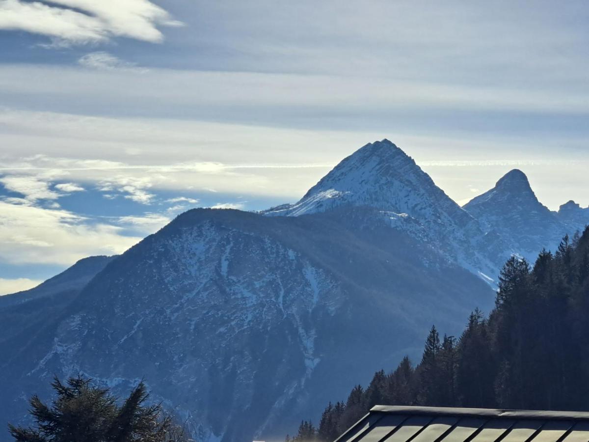 L' Antica Casa Di Maria Lilia Apartment Pieve di Cadore Luaran gambar