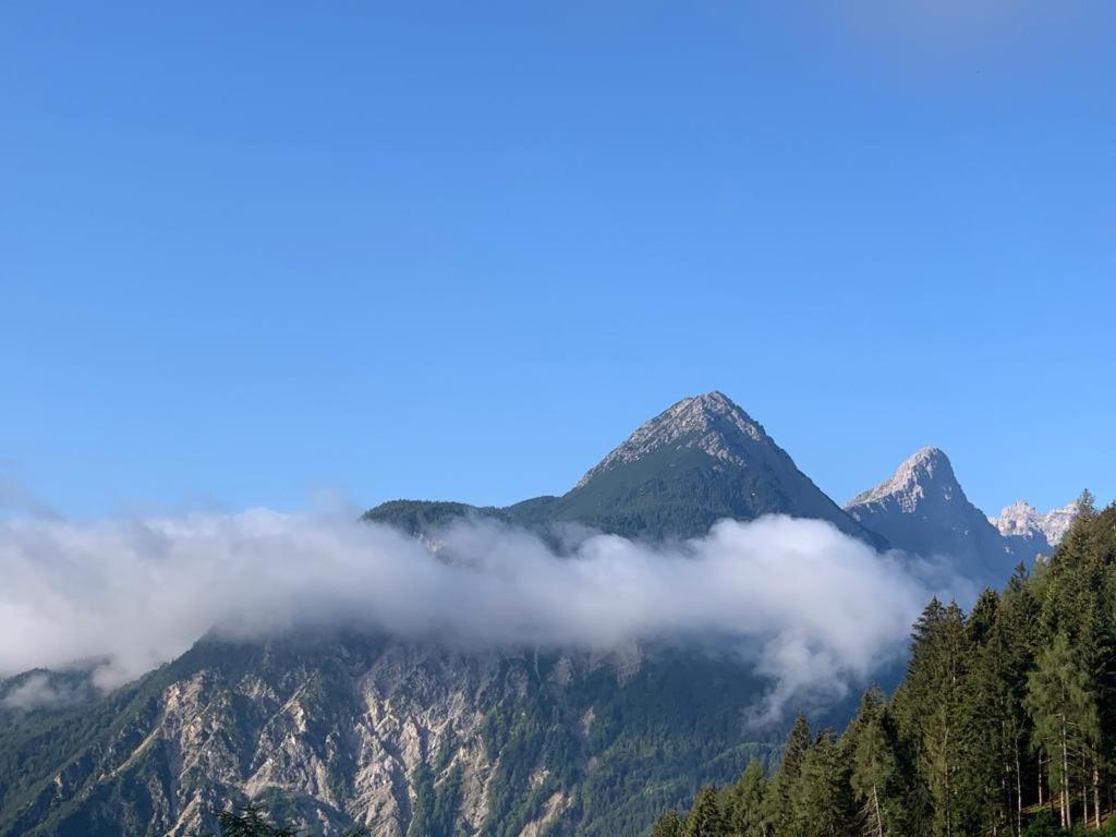 L' Antica Casa Di Maria Lilia Apartment Pieve di Cadore Luaran gambar